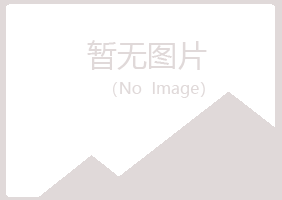 城子河区紫山银行有限公司